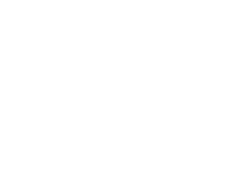 Shoal Current Trading
